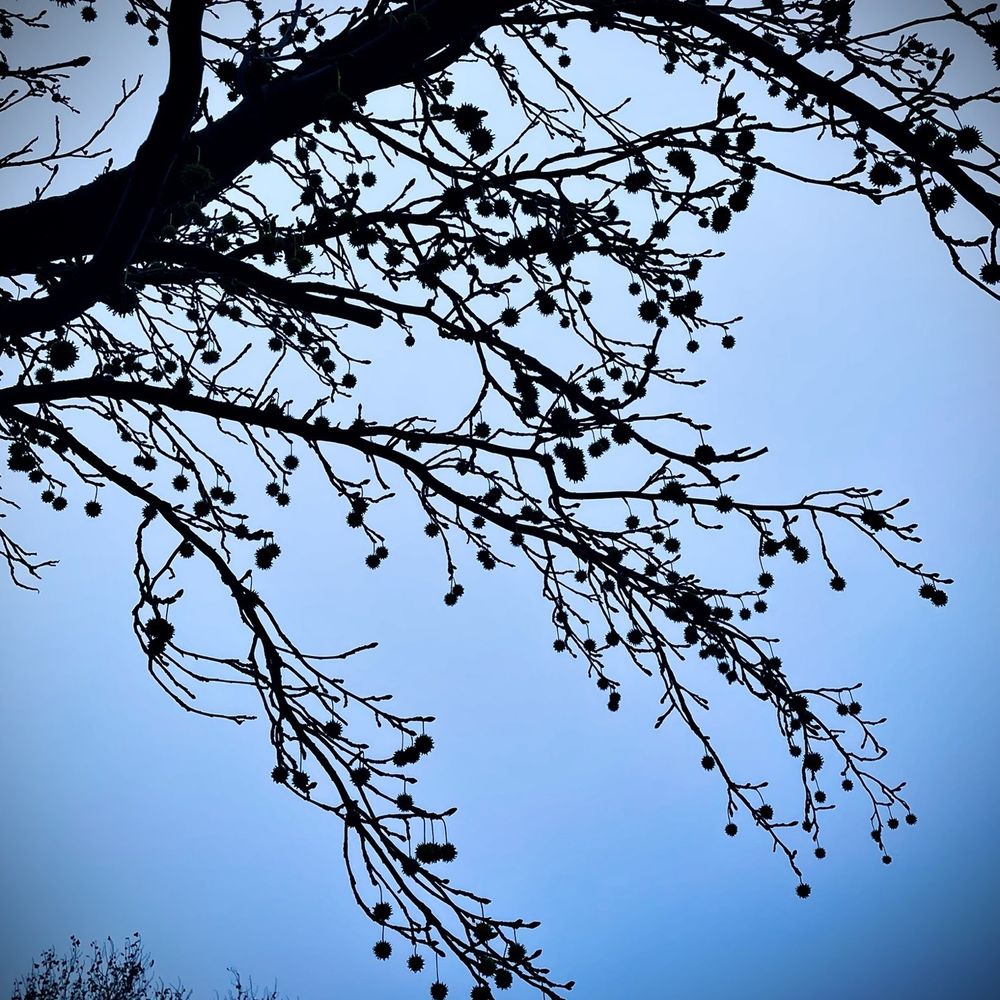 TOP 10 BEST Baseball Fields in Solano County, CA - Updated 2026 - Yelp