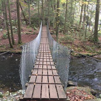 Foster Falls Small Wild Area - The small bridge you cross over to get to the base of the falls. - Hiking Near Me - Sequatchie, Tennessee