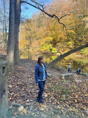 Wissahickon Valley Park by null