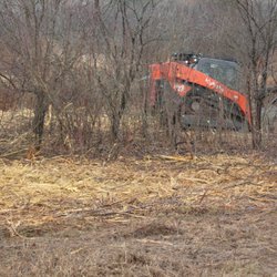 Aurora Arboretum - The mulcher working to clearing out invasive plants