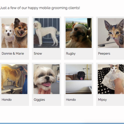 Kelly's Mobile Pet Grooming