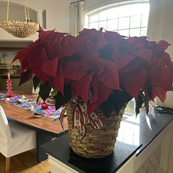Hurst Florist - Flower - Florists Near Me - Jacksonville, Florida Hurst Florist - Flower - Florists Near Me - Jacksonville, Florida