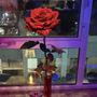 Prestige Fleurs