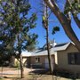 Photo of Rocking D Tree Service
