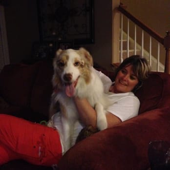 Cupid Pets - Some big boy thinks he's a lap dog! - Dog Walkers Near Me - Ashburn, Virginia Cupid Pets - Some big boy thinks he's a lap dog! - Dog Walkers Near Me - Ashburn, Virginia
