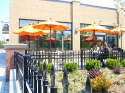 The Green Well by null