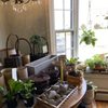 Botanologica gift card