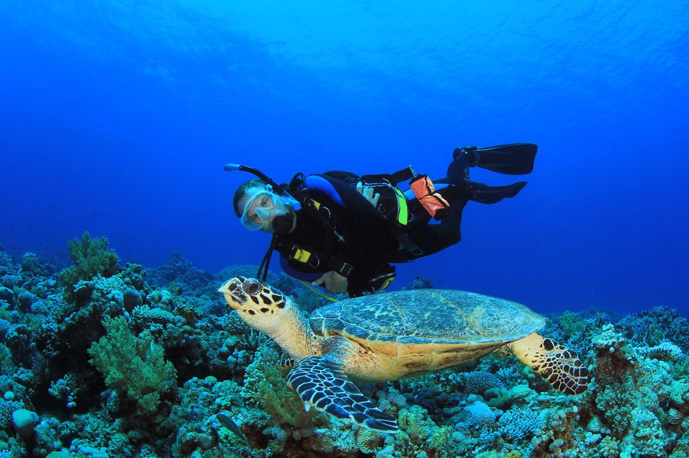 NAUI Worldwide Logo