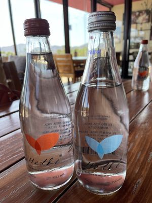 Monte Xanic Bodega Vinícola by null