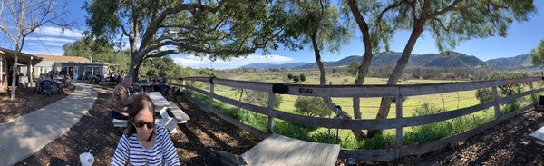 Hitching Post Wines by null