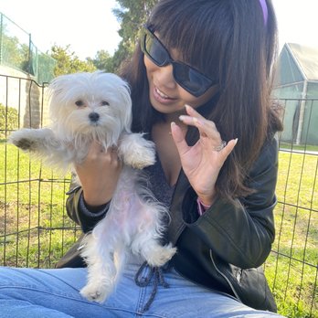 PUPPIES AND REPTILES FOR PARTIES - 146 Photos & 129 Reviews - Torrance