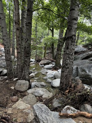Heart Rock Trail by null
