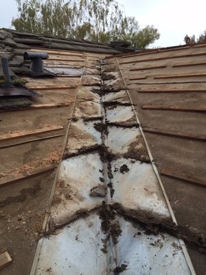 New World Roofing and Waterproofing Logo