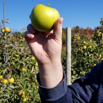 Indian Ladder Farms - did we find the most picture perfect apple? maaaaaaaaaaybe. - Bakeries Near Me - Voorheesville, New York Indian Ladder Farms - did we find the most picture perfect apple? maaaaaaaaaaybe. - Bakeries Near Me - Voorheesville, New York