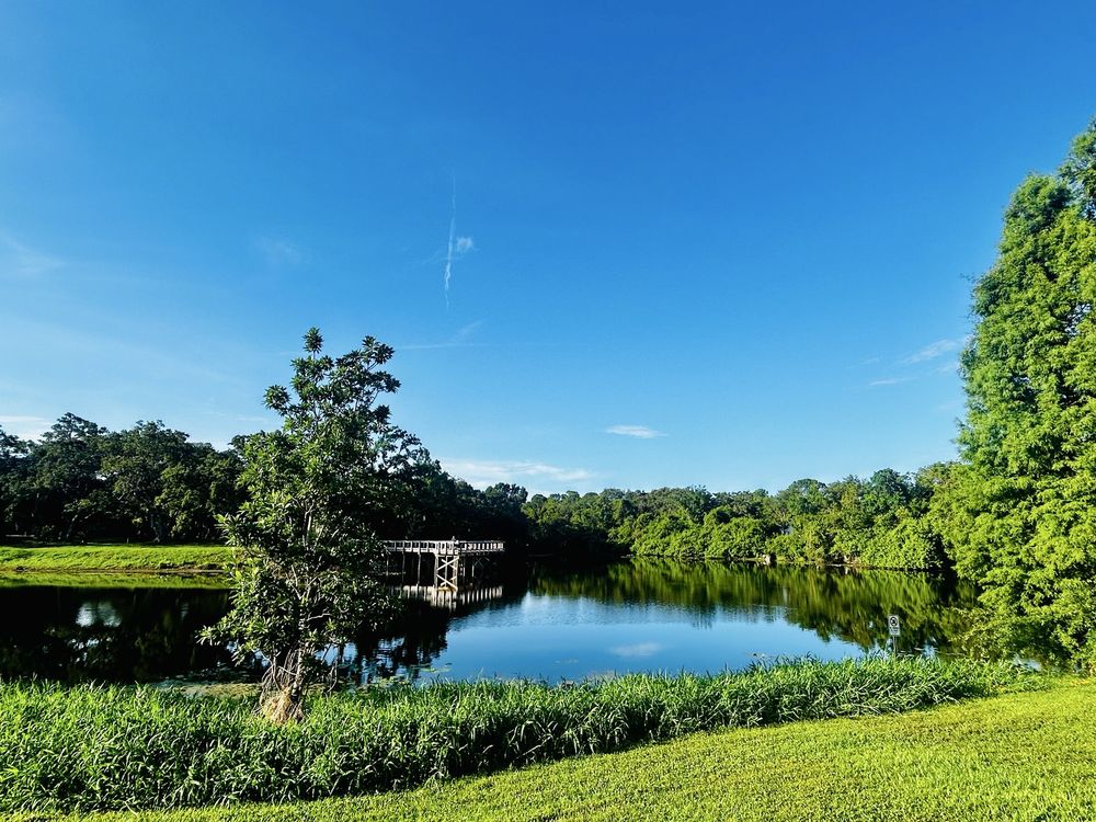 Cliff Stephens Park Image