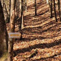 Harry C Barnes Memorial Nature Center - Yellow trail