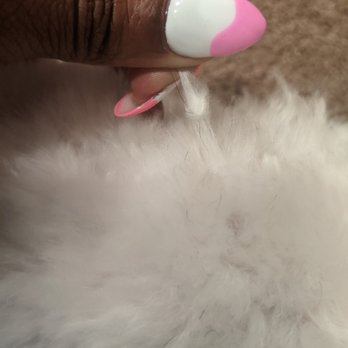 PetSmart - Knots (did they comb him?) - Pet Training Near Me - Washington, DC, District of Columbia
