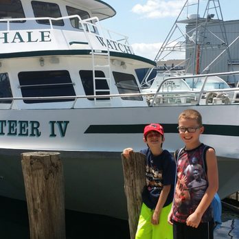 7 Seas Whale Watch - Whale Watching Tours Near Me - Gloucester, Massachusetts