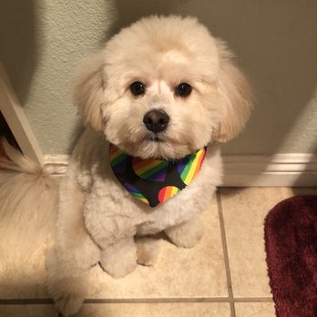 Keepet Groomed - Pet Groomers Near Me - San Diego, California Keepet Groomed - Pet Groomers Near Me - San Diego, California