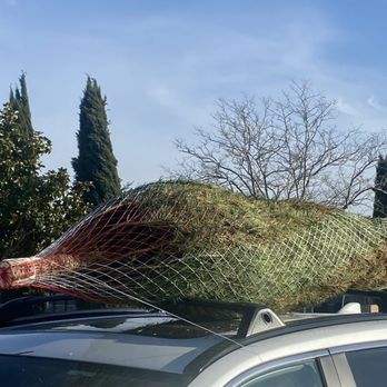 Santa’s Winter Forest - Christmas Trees Near Me - Brentwood, California Santa’s Winter Forest - Christmas Trees Near Me - Brentwood, California
