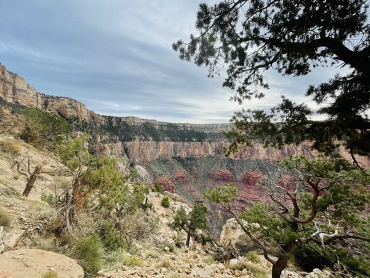 Ooh Aah Point by null