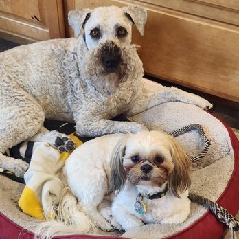 Man's Best Friend - We love Man's Best Friend! - Pet Groomers Near Me - Las Vegas, Nevada Man's Best Friend - We love Man's Best Friend! - Pet Groomers Near Me - Las Vegas, Nevada