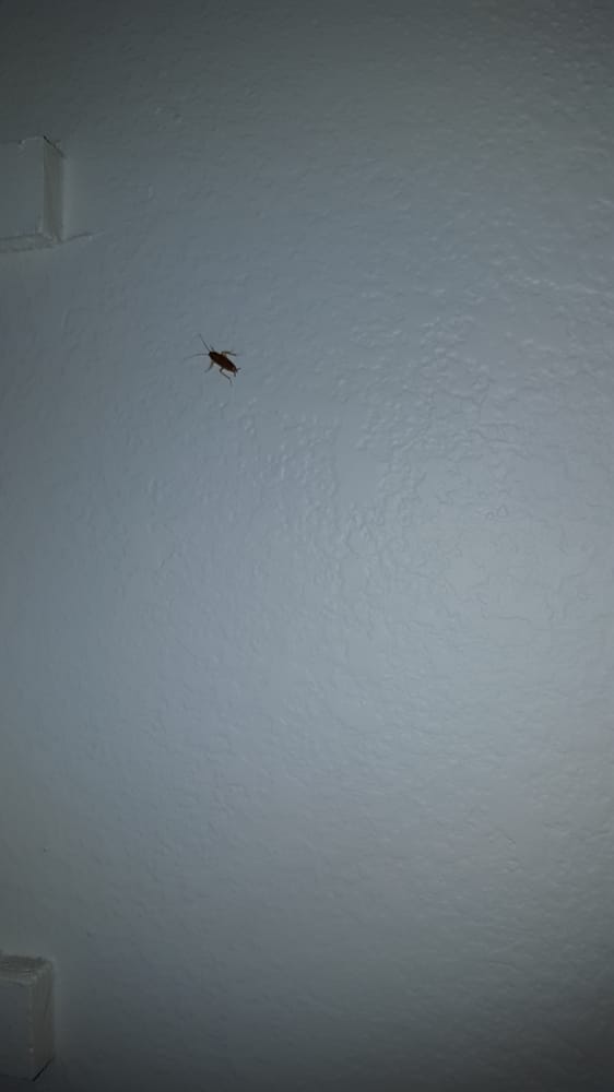 Deer Creek Village - property management company in Phoenix, AZ