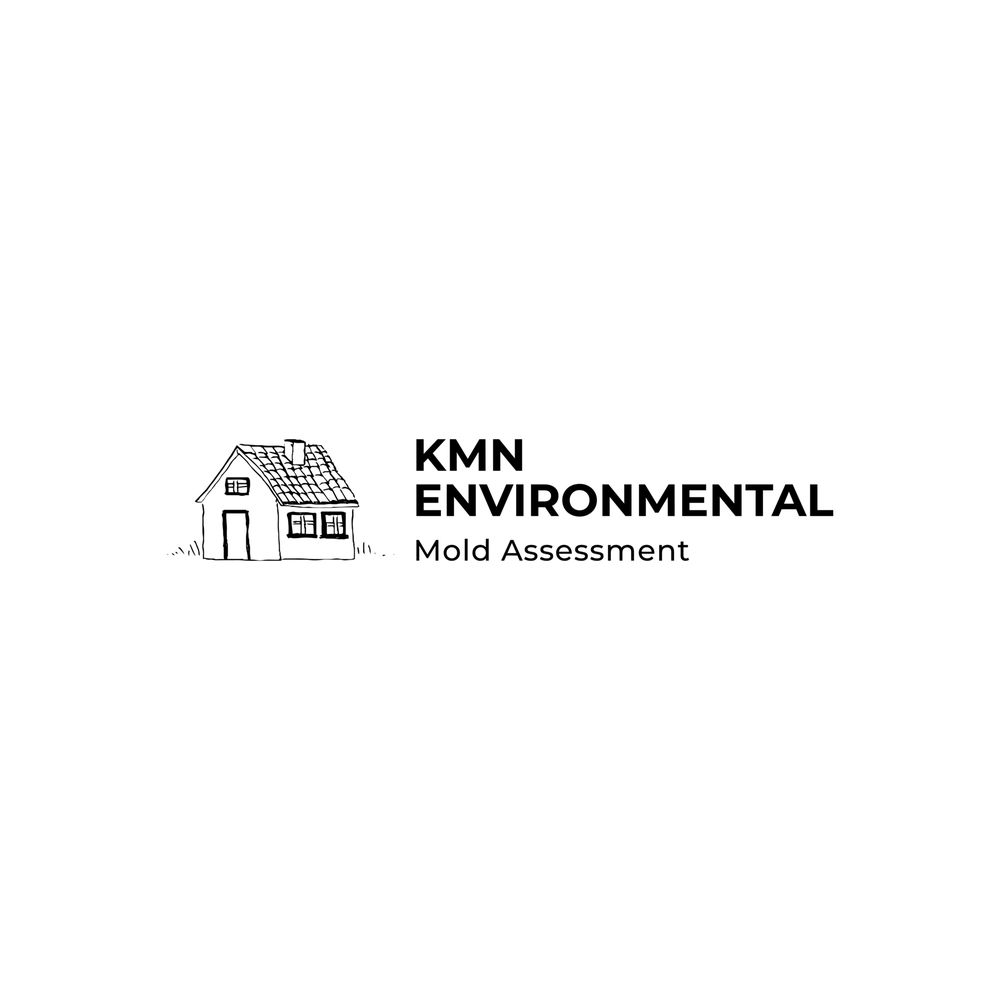 KMN Environmental- Mold Assessment - mold inspector in Marlboro, NY
