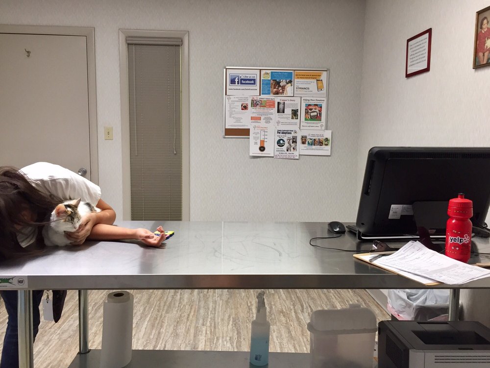 ST FRANCIS ANIMAL HOSPITAL Updated August 2024 54 Reviews 2727