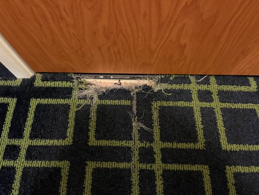 Fairfield Inn & Suites Tallahassee Central by null