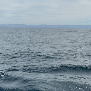 Sub Sea Tours - Rafting/Kayaking Near Me - Morro Bay, California Sub Sea Tours - Rafting/Kayaking Near Me - Morro Bay, California