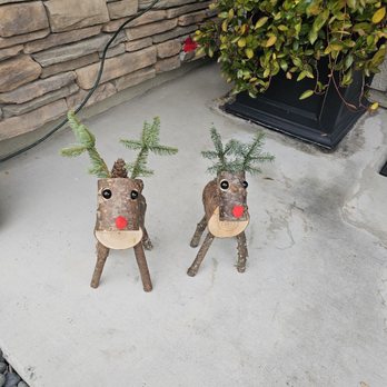 Sutton's Christmas Trees - Christmas Trees Near Me - Rocklin, California Sutton's Christmas Trees - Christmas Trees Near Me - Rocklin, California