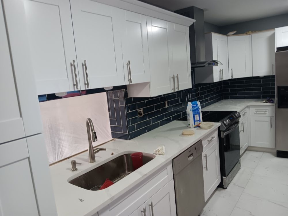 Slide of Pakmarica Painters Florida