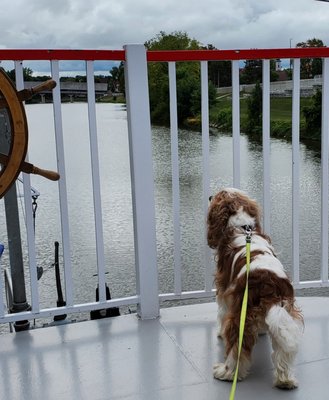 Photo of Bavarian Belle Riverboat - Frankenmuth, MI, US. Jasper loved the trip as much as we did.