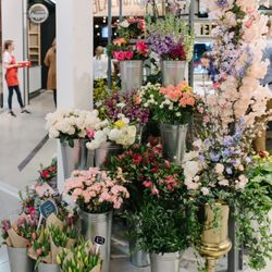 Blossom Moments