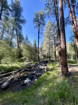 Pine Valley Recreation Area by null