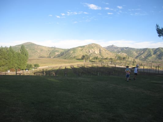 Orfila Vineyards and Winery by null
