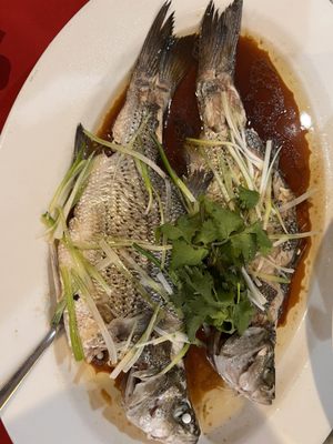 Ocean Harbor by null