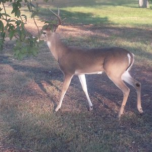 JACK JUDSON NATURE TRAILS - 14 Photos - Viesca And Greely, San Antonio