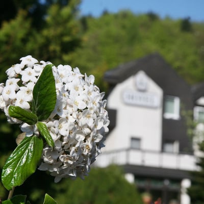 Flux - Biohotel im Werratal by null
