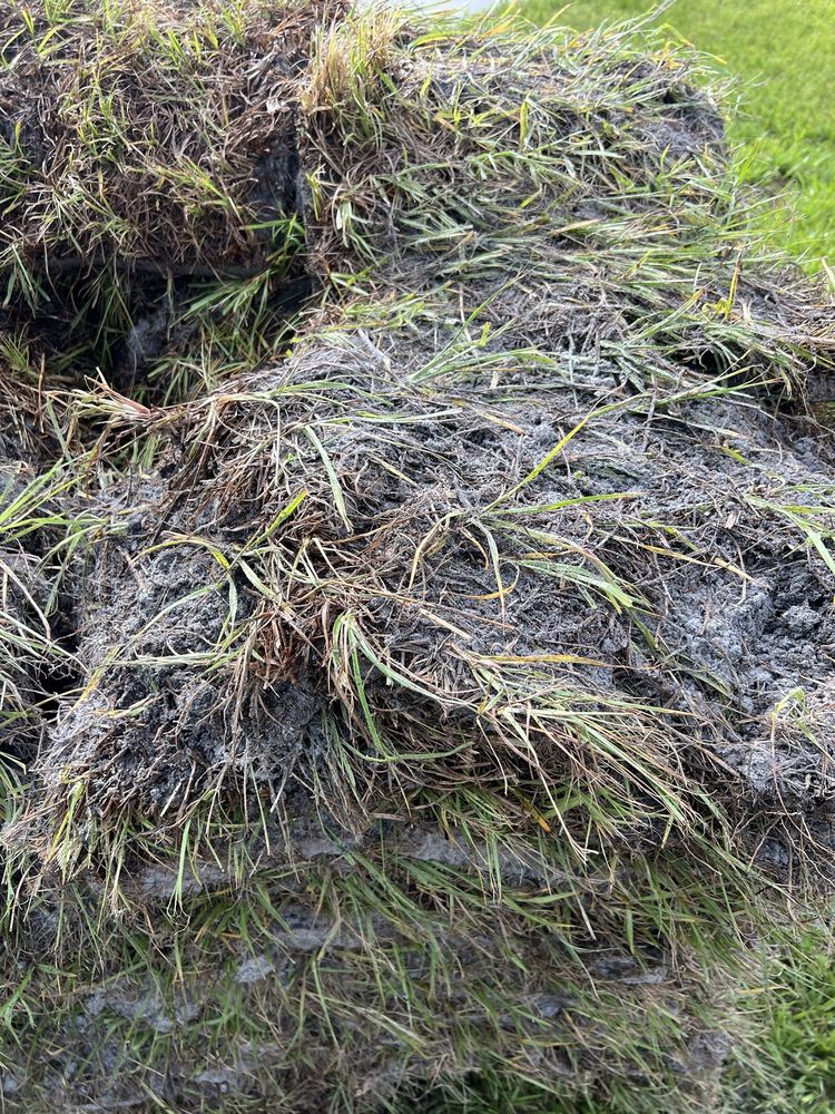 AMERICA SOD Updated September 2024 Belle Glade, Florida Landscaping Phone Number Yelp