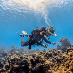 Sand Dollar Sports - Diving the Mesoamerican Reef
