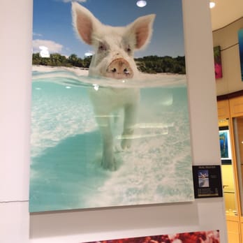 Gug Underwater - Art Galleries Near Me - Fort Lauderdale, Florida