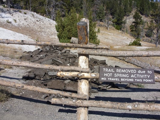 Mammoth Hot Springs by null