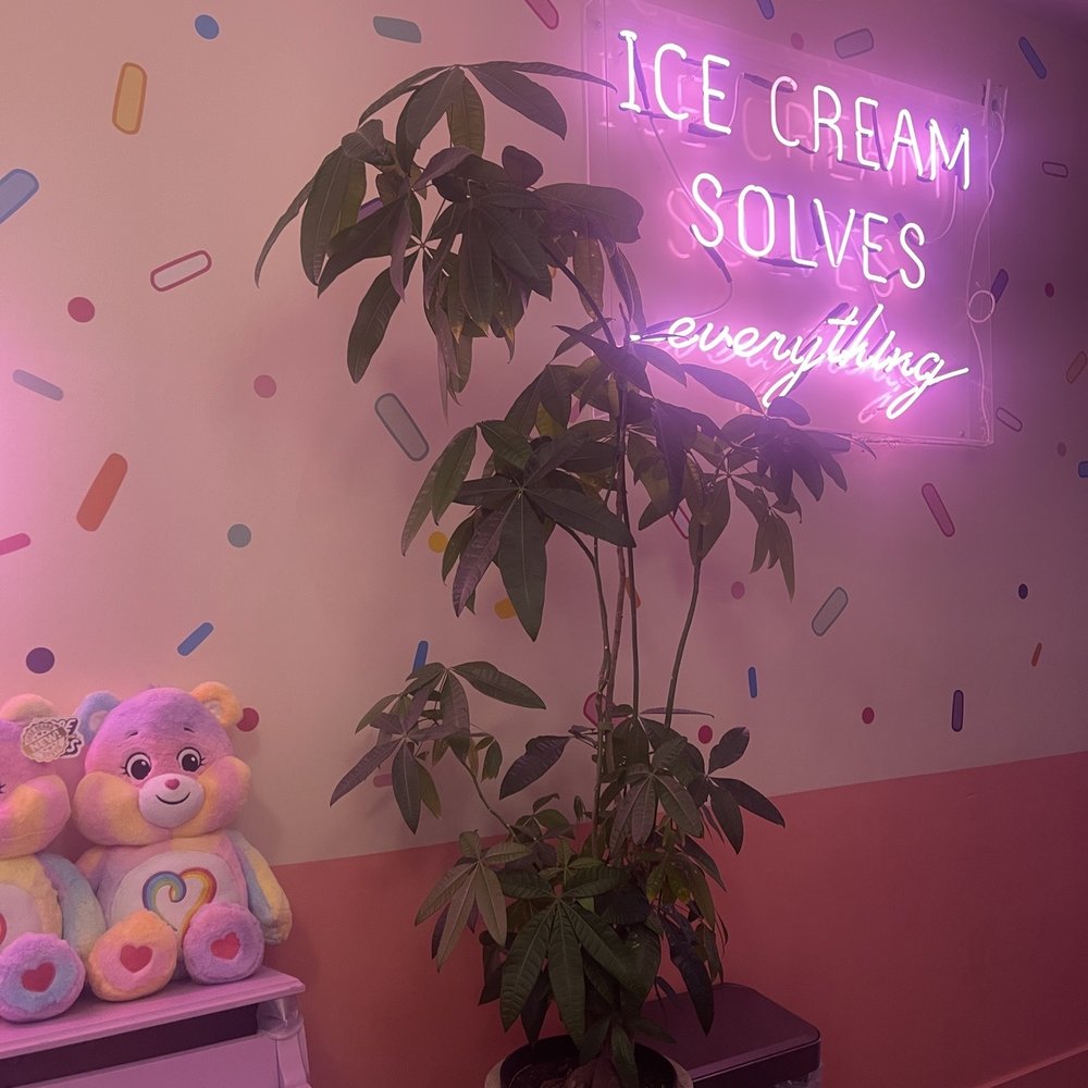 iHalo Krunch - Ice Cream & Frozen Yogurt Near Me - Toronto, Ontario iHalo Krunch - Ice Cream & Frozen Yogurt Near Me - Toronto, Ontario