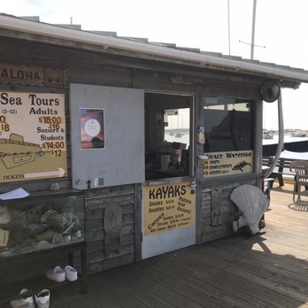 Sub Sea Tours - Rafting/Kayaking Near Me - Morro Bay, California