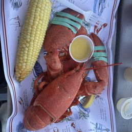 1.5+ pound lobster dinner served with corn & melted butter!