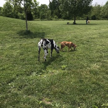 Heritage Trail Dog Park - Dog Parks Near Me - Hilliard, Ohio Heritage Trail Dog Park - Dog Parks Near Me - Hilliard, Ohio