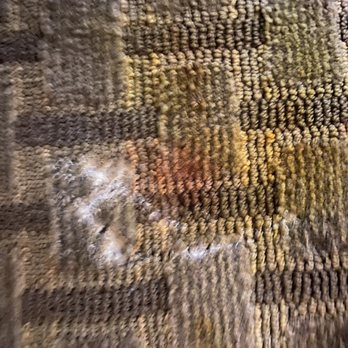Super 8 by Wyndham Stephenville - Nasty rug stains everywhere - Hotels Near Me - Stephenville, Texas Super 8 by Wyndham Stephenville - Nasty rug stains everywhere - Hotels Near Me - Stephenville, Texas