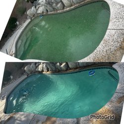 That Girl’s Pool Service - Green to Clean